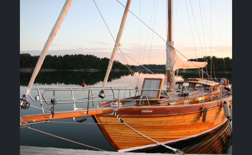 Scylla SuurScylla-kuva-13